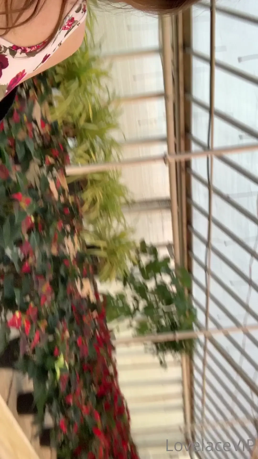 Everyone loves a little christmas poinsettia and upskirt hehehe 
