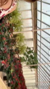Everyone loves a little christmas poinsettia and upskirt hehehe