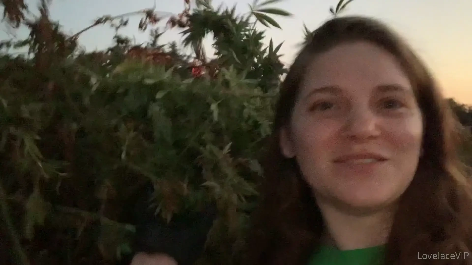 I had so much fun cutting down trimming and hanging weed to dry at a 