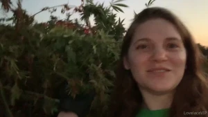 I had so much fun cutting down trimming and hanging weed to dry at a