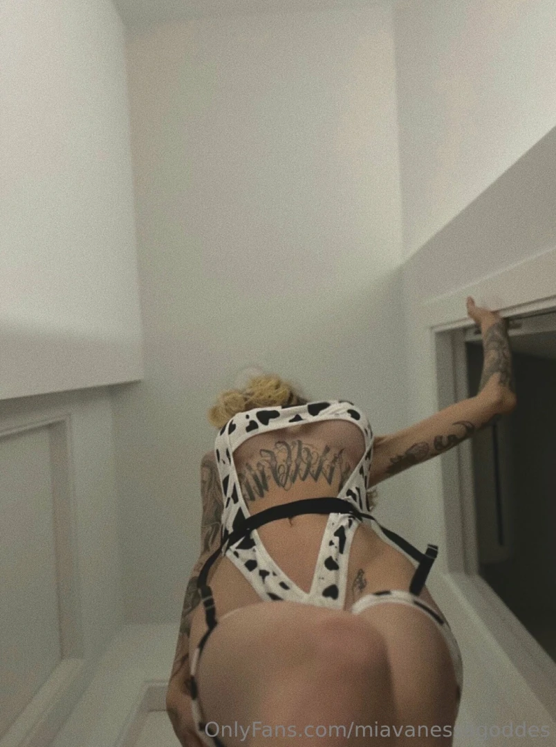 Si das a me gusta a todas mis fotos hoy te envio una sorpresa muy 