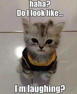 Meme mondays 3 part 8