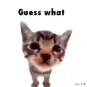 Meme monday 3 part 4