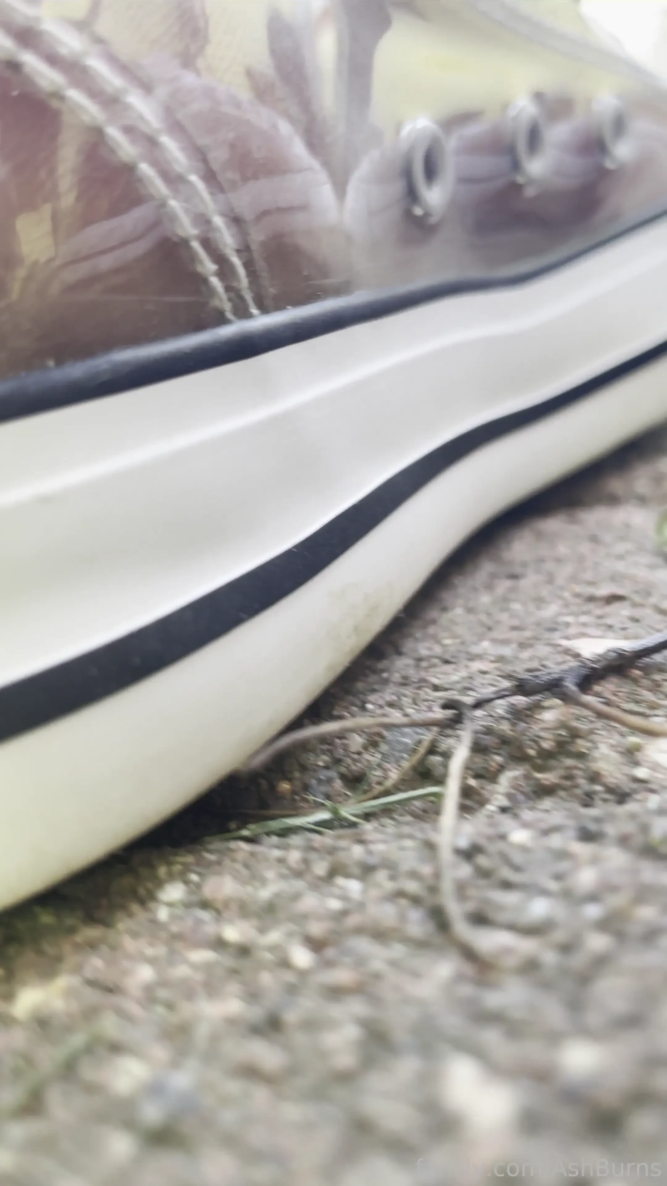 I m unaware of the speck crawling around my feet this speck is curious 