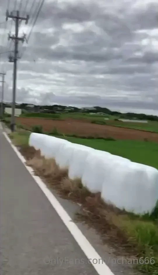Pchan666 part 5 