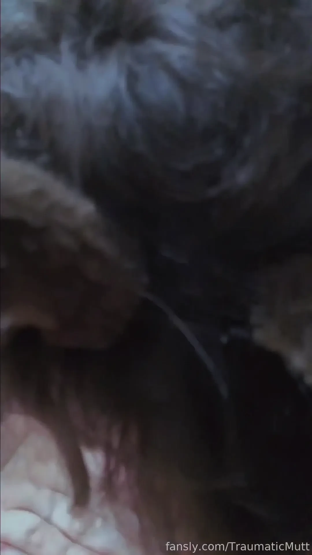 Teen petplay video creampie 