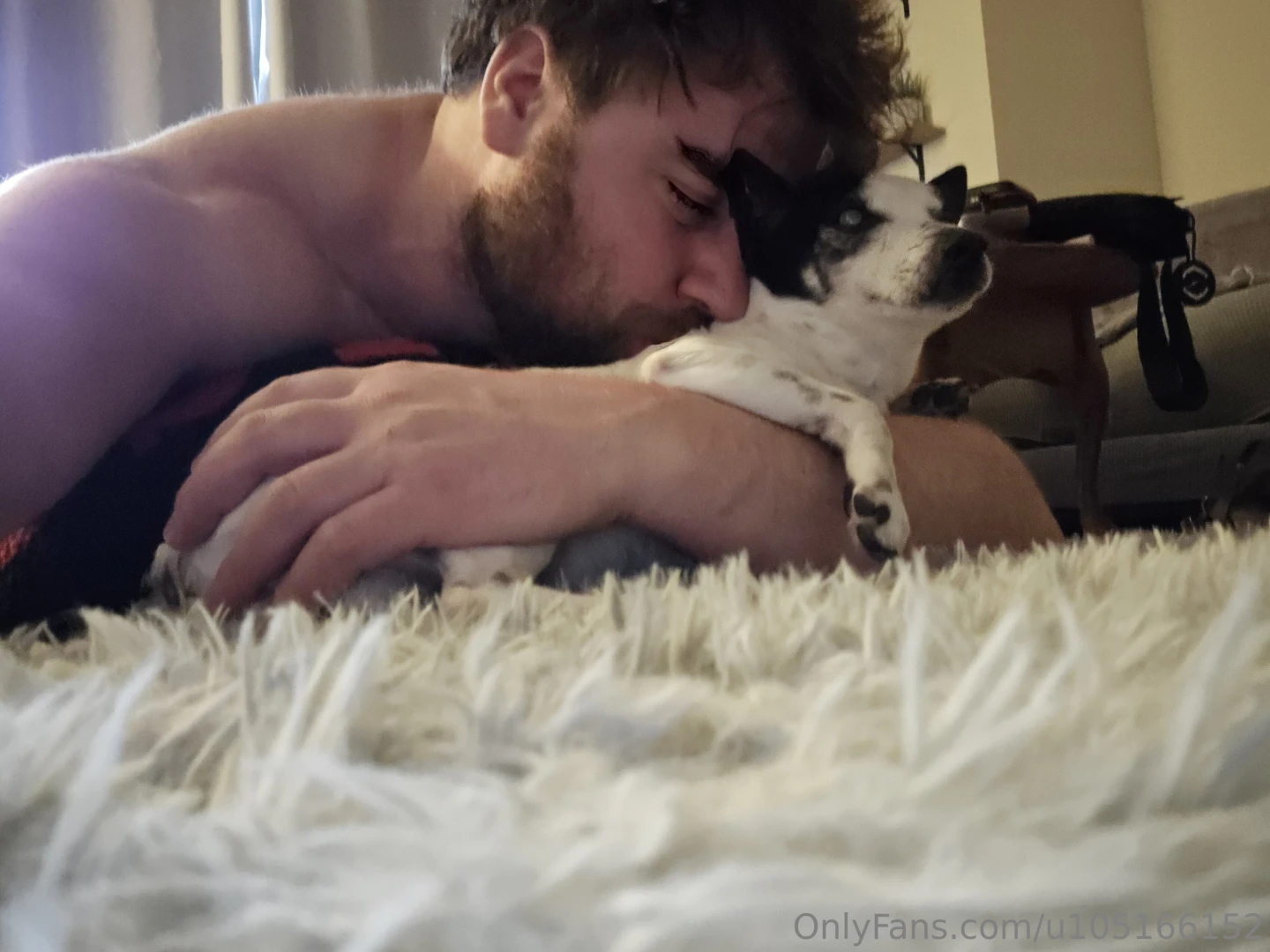 My dog my choice part 2 