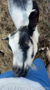 She always loves to nibble nibble bite cute happy selfie blonde young