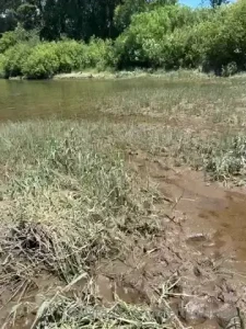 Time to make a mud video any suggestions