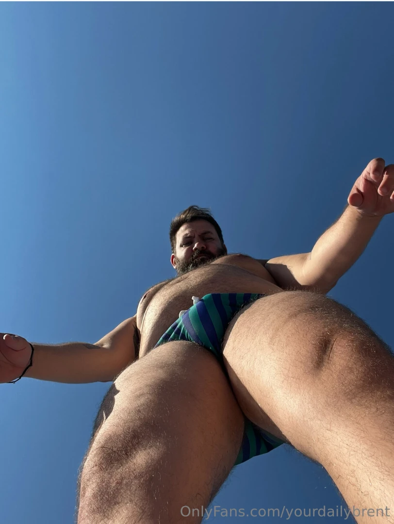 Speedo season 