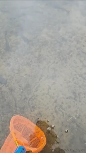 Took a lil break from reality and spent the night in the bush kinda part 1