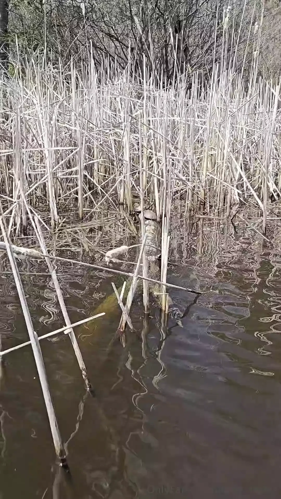 It was a great day to be on the water i soaked in alot of sunshine in part 1 