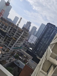 Good morning toronto