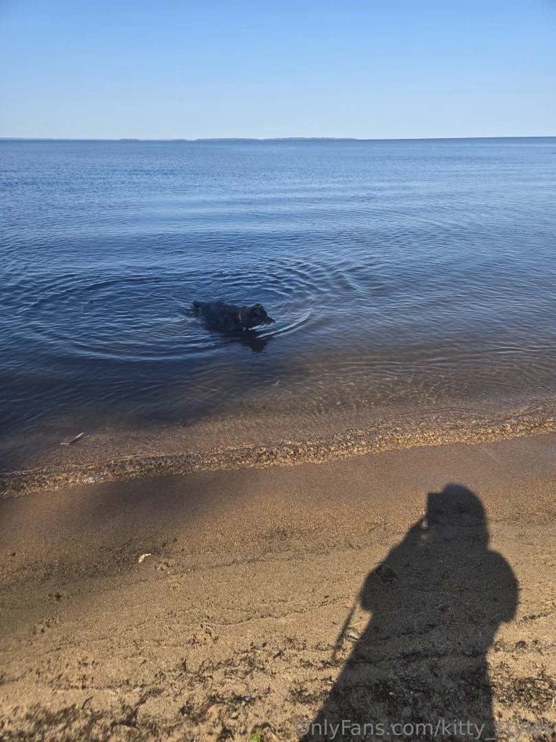 I was on the hunt for some driftwood this morning i found almost all part 5 