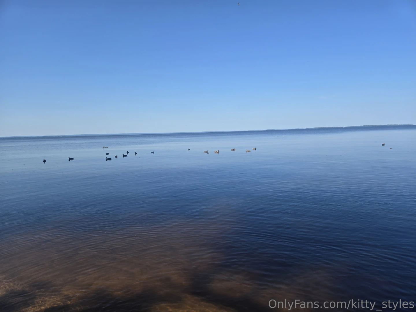 I was on the hunt for some driftwood this morning i found almost all part 8 