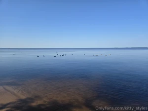 I was on the hunt for some driftwood this morning i found almost all