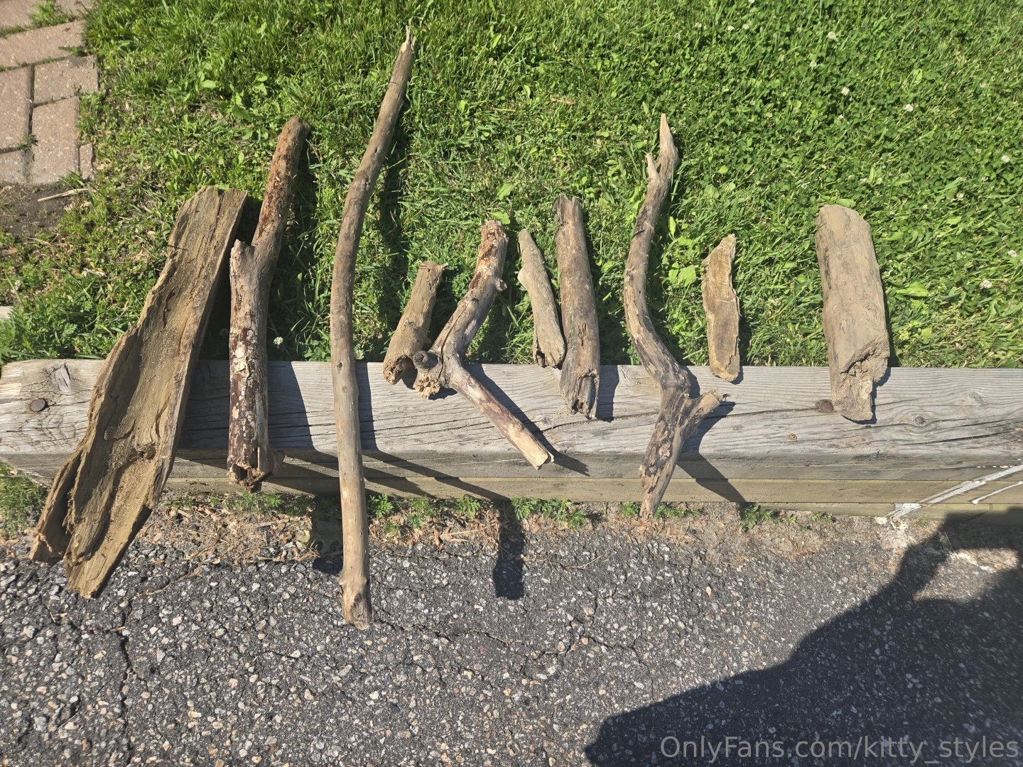 I was on the hunt for some driftwood this morning i found almost all part 7 