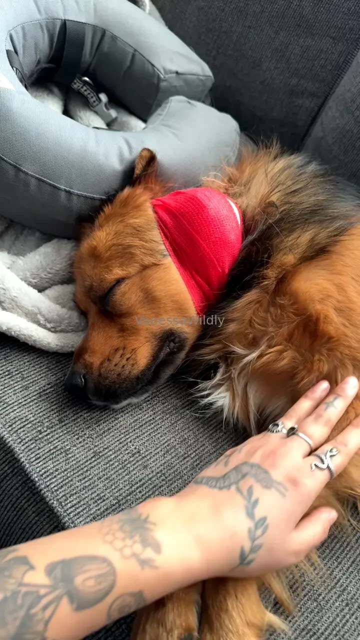 Pls peep my video list on my page and take advantage of the bundle 