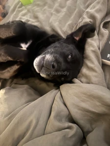 My baby boy lose his hearing he so precious and cute