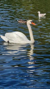 Took a mental health dayyy gotta recharge those batteries part 1