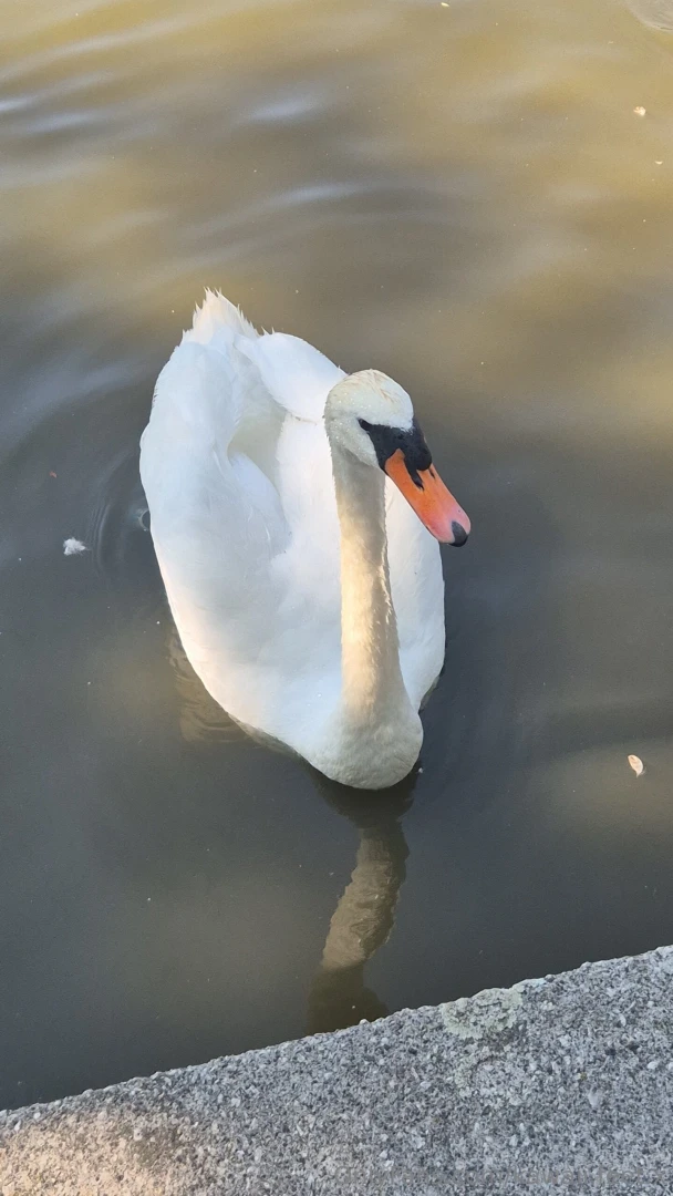 Took a mental health dayyy gotta recharge those batteries part 3 