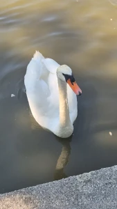 Took a mental health dayyy gotta recharge those batteries part 3