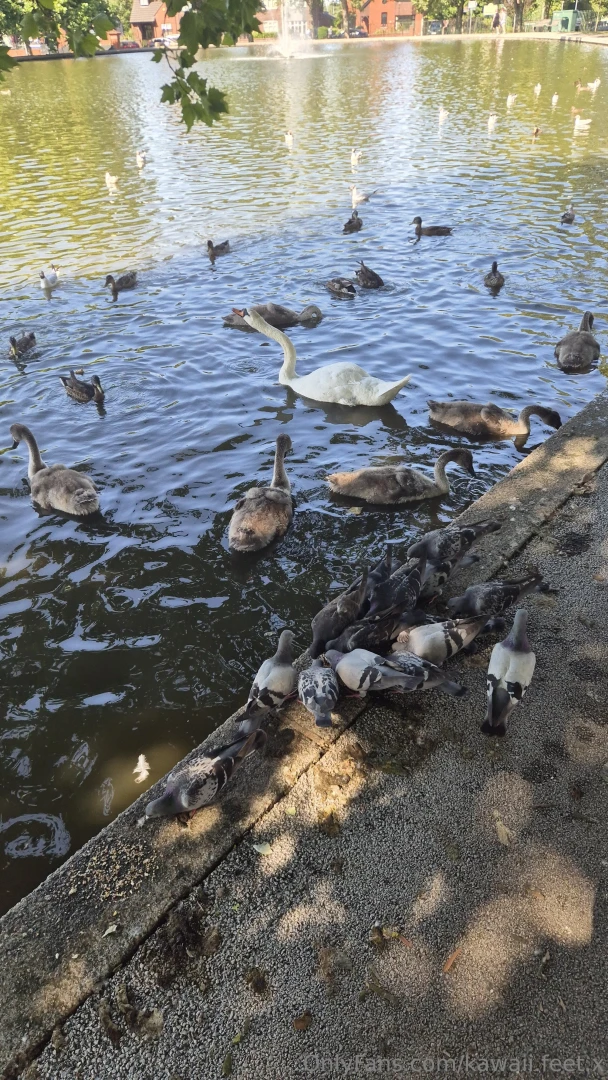 Took a mental health dayyy gotta recharge those batteries 