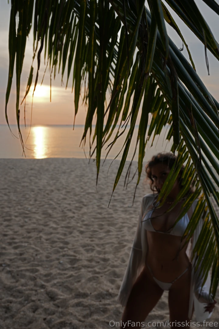 Golden sunsets soft sand and a little bit of mystery behind the palms 