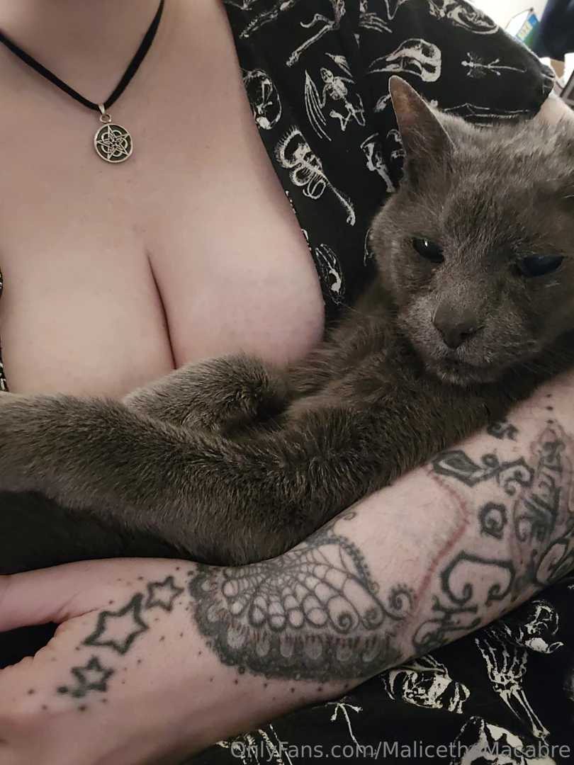 I m currently with spooky at the emergency vet again it was a he needs 