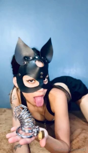 Always seeking new subs