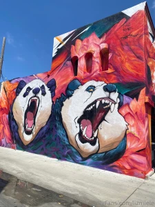 Was just on tour in california amp utah i love cute coffee shops part 6