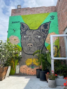 Was just on tour in california amp utah i love cute coffee shops part 15