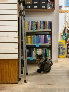 Was just on tour in california amp utah i love cute coffee shops part 2