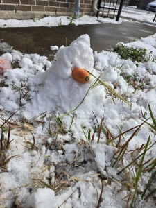 Snowed in 2025 part 1