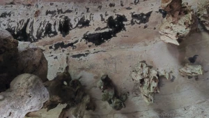 Something about ancient walls and dark corners brings out my most