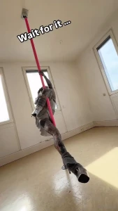 Do you like my suicide spin let me be honest with you - i hate
