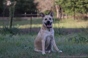 This is my message to everyone thank you for the support thank you for part 4