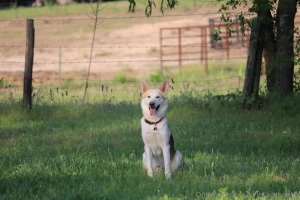 This is my message to everyone thank you for the support thank you for part 5