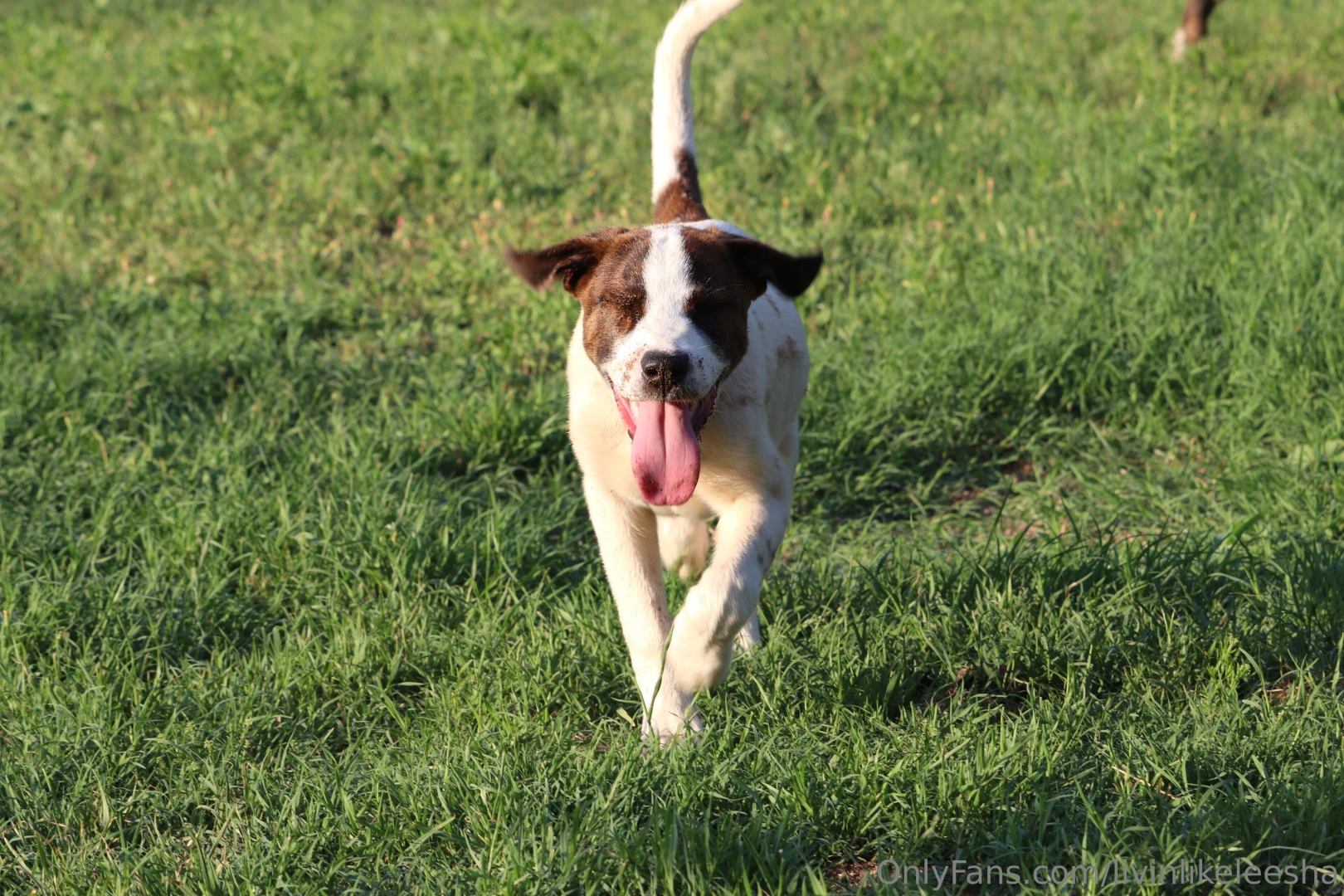 This is my message to everyone thank you for the support thank you for part 3 