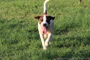 This is my message to everyone thank you for the support thank you for part 3