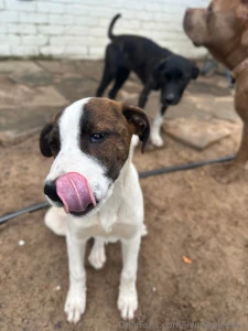 This is my message to everyone thank you for the support thank you for part 6