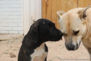 This is my message to everyone thank you for the support thank you for part 2