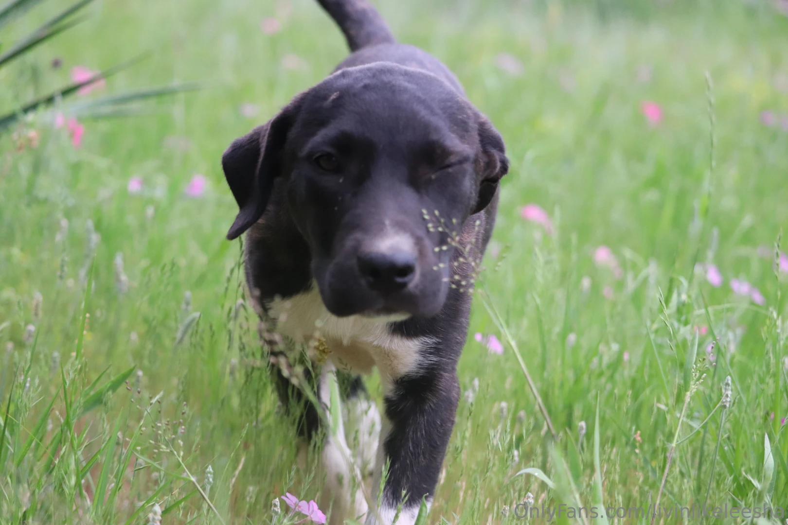 This is my message to everyone thank you for the support thank you for 