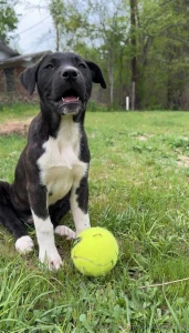 This is my message to everyone thank you for the support thank you for part 7