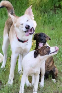 This is my message to everyone thank you for the support thank you for part 1