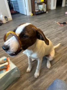 Your gifts do not go unnoticed or unappreciated part 5