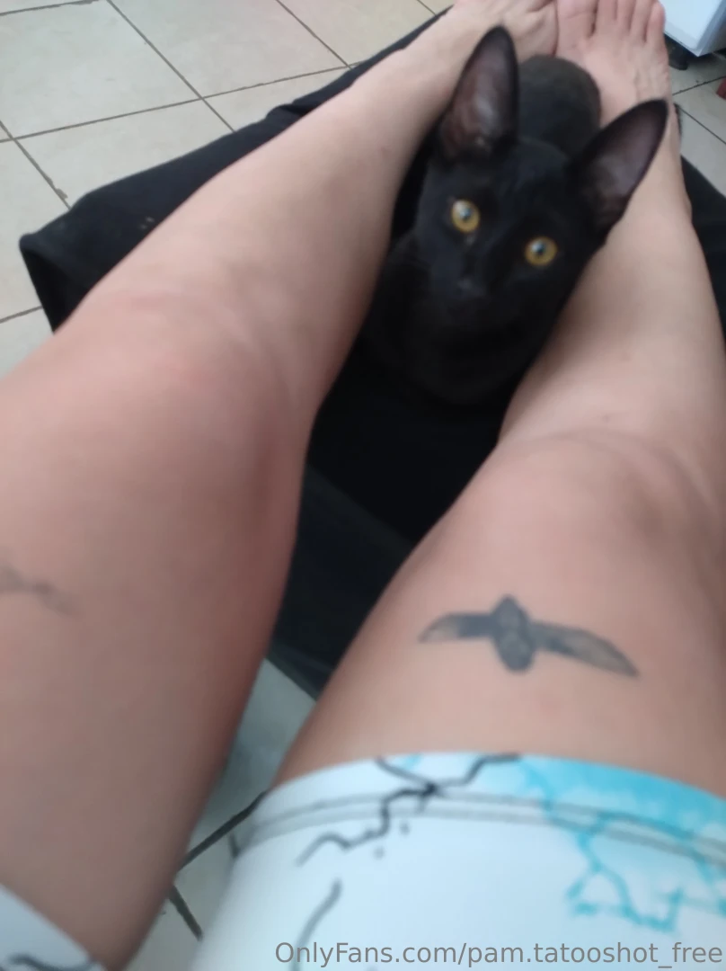 Pam-tatooshot-free part 1 