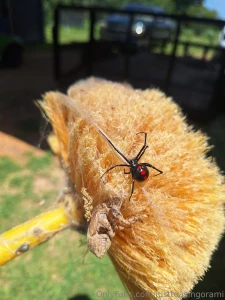 I absolutely love what i do for a living and i am going to start part 3