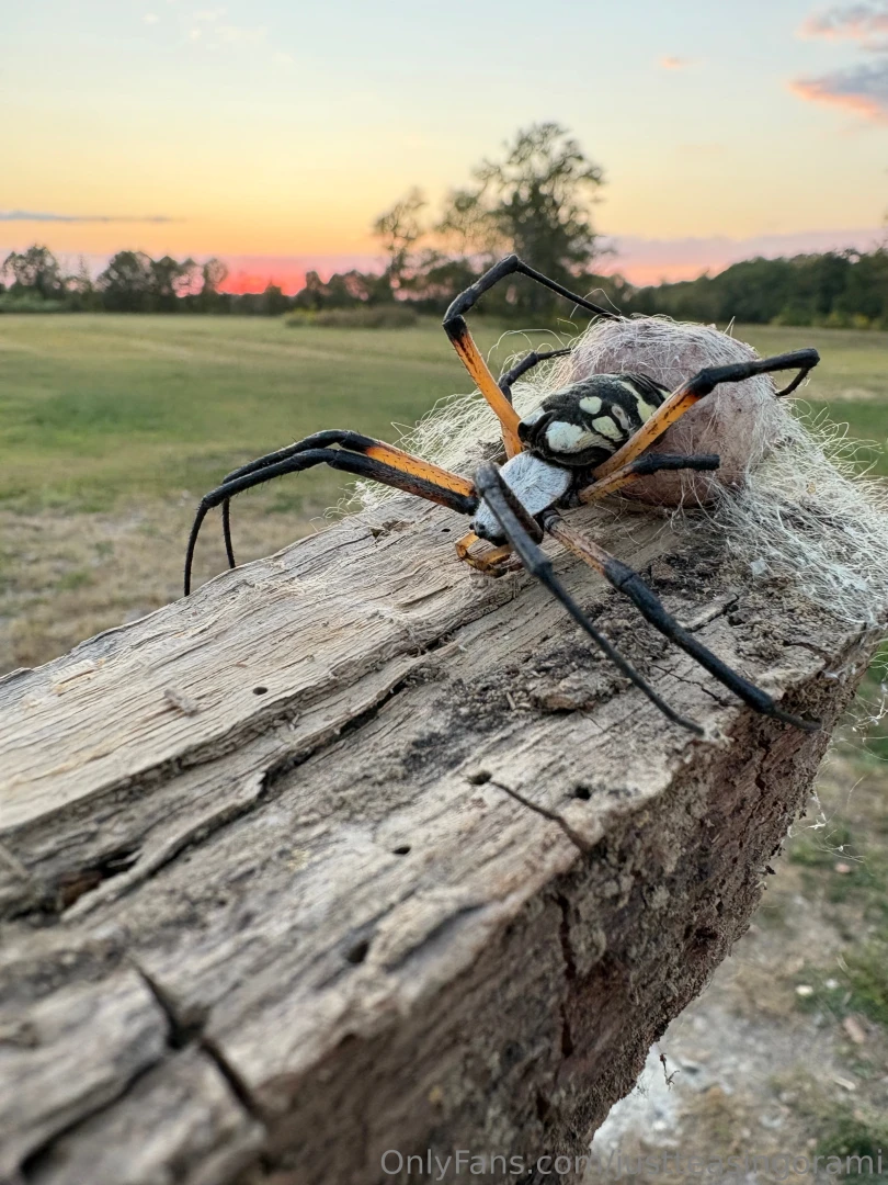 I absolutely love what i do for a living and i am going to start part 1 