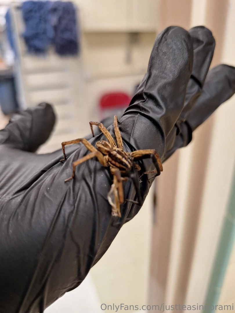 I absolutely love what i do for a living and i am going to start part 5 